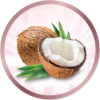 קוקוס