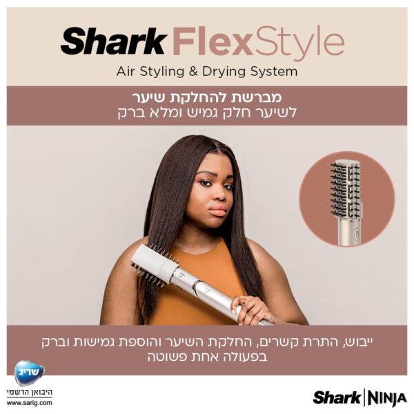 מברשת אובלית