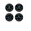 שואב אבק ידני נטען Shark ION WV250