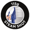 AUTO STEAM