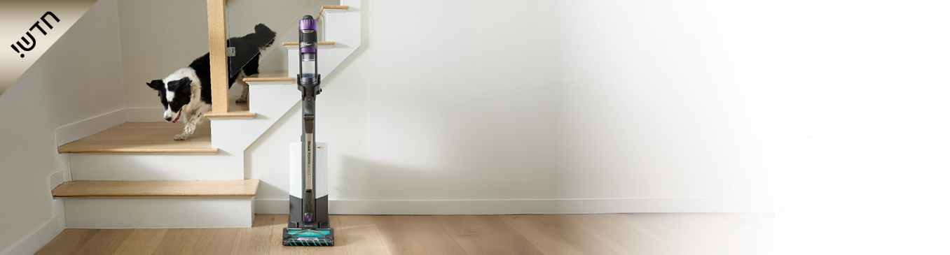 HP303 banner